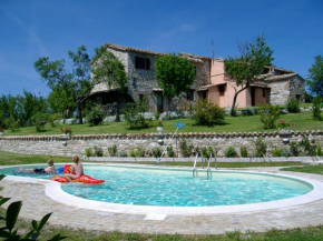 La collina dei ciliegi Cagli
